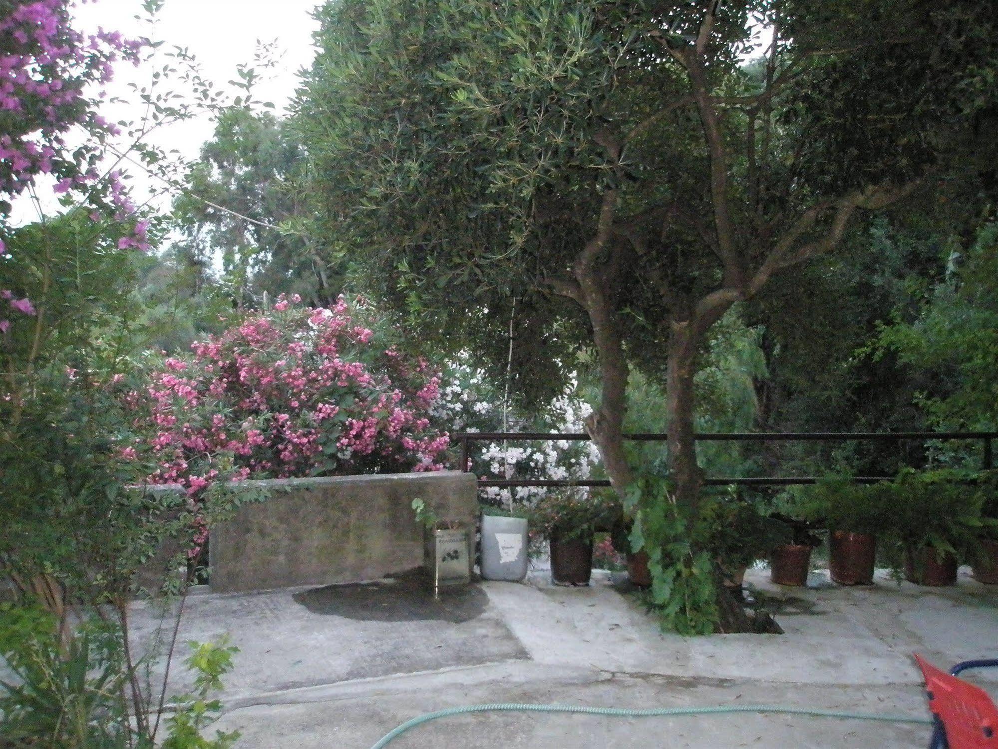 Faliraki Hotel *