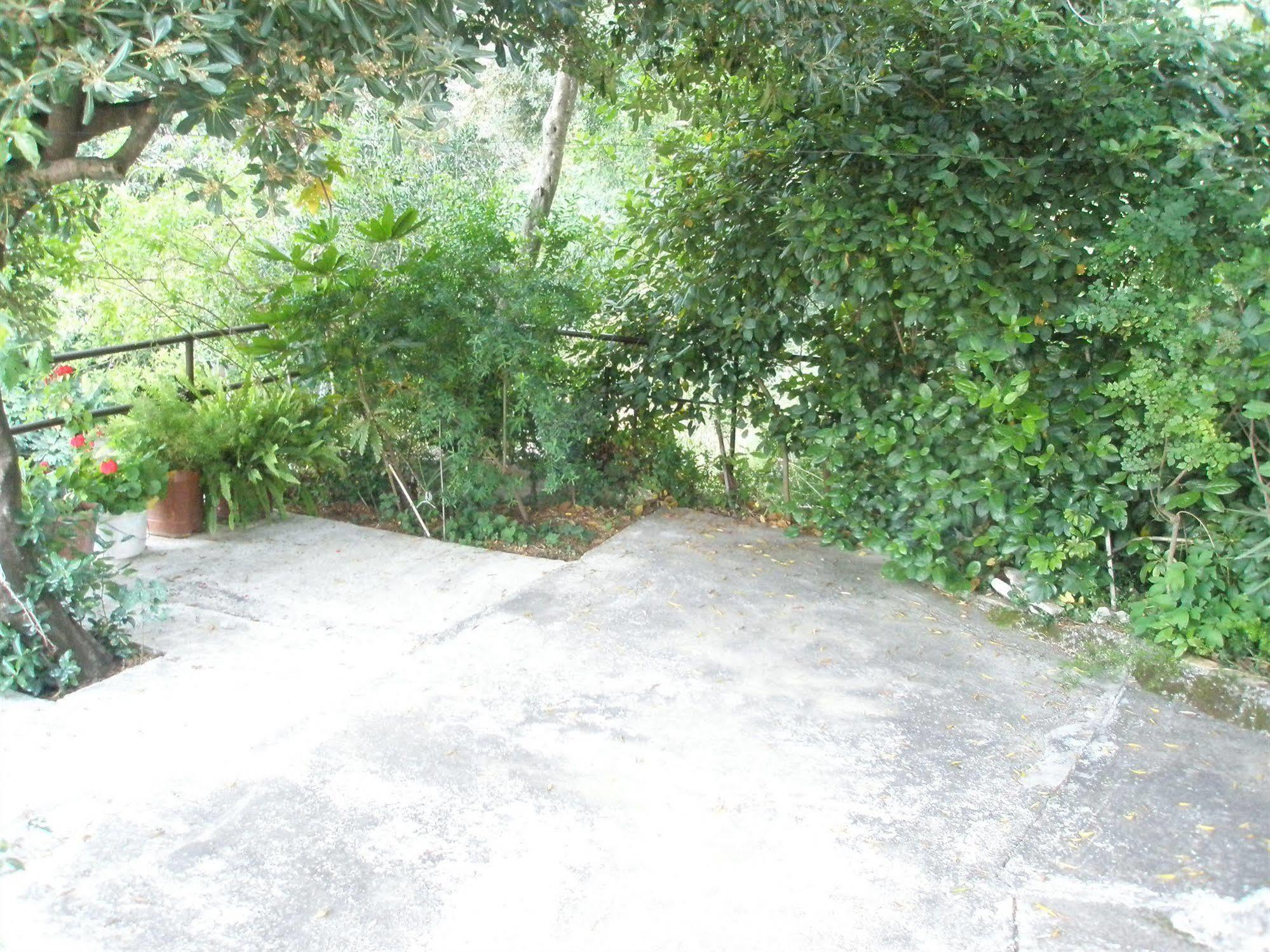 Faliraki Hotel Benitses (Corfu)
