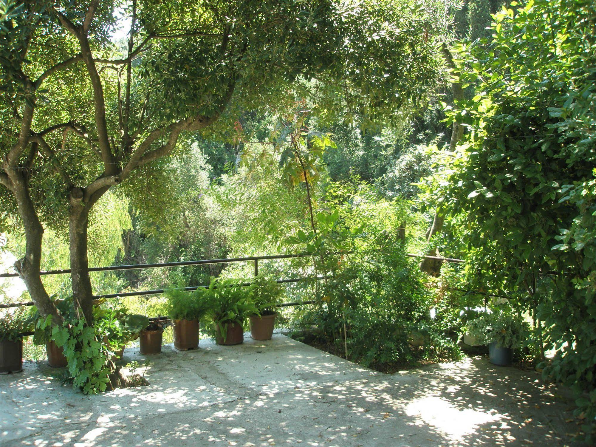 Faliraki